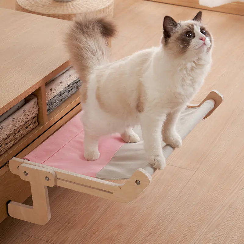 Cat Window Hammock Bed